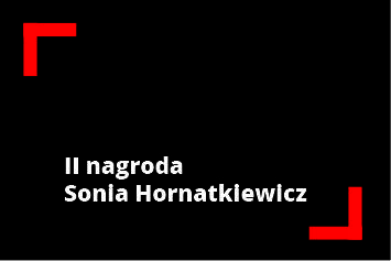 sonia-hornatkiewicz_obszar-roboczy-1.jpg